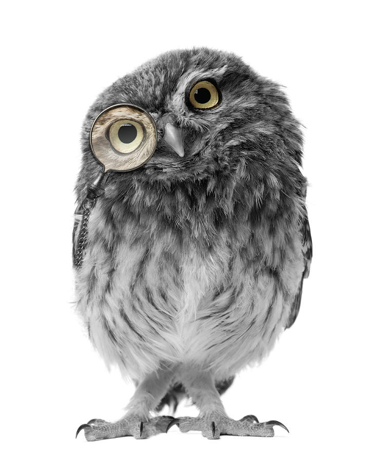 TwoBe Business&Branding digital business