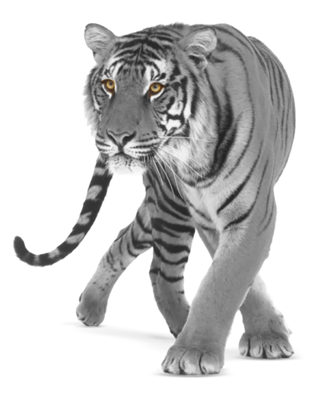 TwoBe Business&Branding Core Business